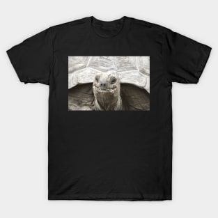 Giant tortoise T-Shirt